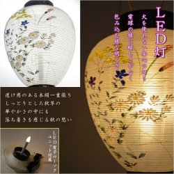 画像4: お盆提灯・仏縁堂セレクト【八女提灯：蒔絵入り御所提灯10号　桔梗に秋草　LED電球（電池式）本絹一重】送料無料　吊り提灯　壷型　盆ちょうちん　行灯　盆用品　新盆　初盆　色柄提灯　花柄提灯　迎え火　送り火