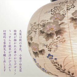 画像7: 限定品　お盆提灯・仏縁堂セレクト【岐阜提灯：黒蒔絵　白芙蓉に桔梗　和紙一重張り　11号】盆ちょうちん　行灯　盆用品　PC製提灯　新盆　お盆　色柄提灯