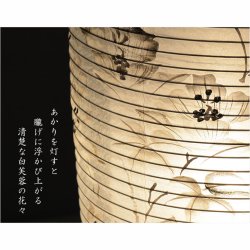 画像10: お盆提灯【仏縁堂セレクト　本絹二重張り　静流（しずる）白芙蓉　電球灯】お盆用品　お盆飾り　霊前灯　仏壇用仏具　新盆　初盆　盆花　迎え火　送り火　インテリア行灯　ちょうちん　お灯明