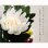 画像4: 仏具・お供え花【お仏壇・お墓参り：シルクフラワー菊仏花・造花　サイズ大】仏壇仏具 花立て 供花 法事 四十九日 命日 法要 (4)