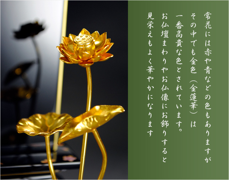 仏壇のご本尊前に：豆常花＋豆具足花立セット【咲れんげ：5本立3.0寸