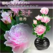 画像1: 光ファイバー使用の光る仏花【7色に変化する煌めくお花　テルミナ：牡丹】新盆　初盆　お盆用品　盆提灯　盆花　仏壇用仏具　送料無料