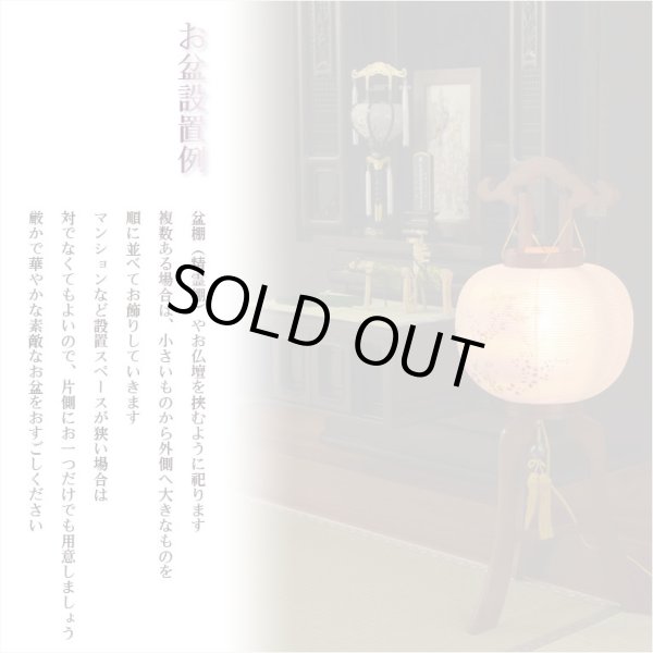 画像12: 特選　お盆提灯【岐阜提灯：組立簡単マグネット仕様・天然木・二重張り・電球灯　撫子10号】 送料無料