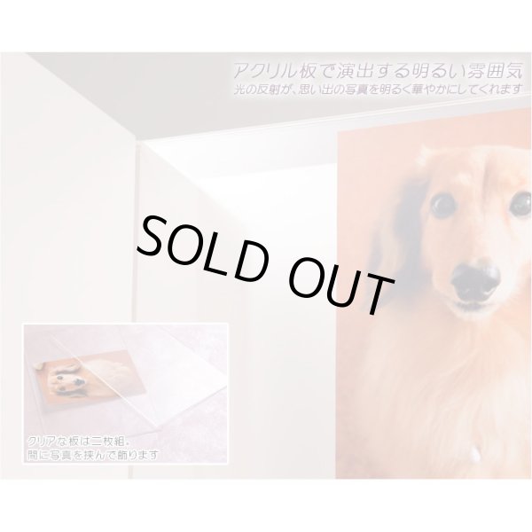 画像3: 【ペット専用ご供養セット：ヴェール ホワイト＋ペット用ローソク・線香セット】ペット供養 仏壇・仏具　ローソク　線香　小型仏壇　ミニ仏壇　手元供養