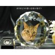 画像9: かわいいクリスタルペット位牌【ピュアラブ　サークル型　サイズA】【UV＋２Dレーザー】犬の位牌　猫の位牌　ペット供養 送料無料