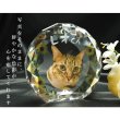 画像3: かわいいクリスタルペット位牌【ピュアラブ　サークル型　サイズA】【UV＋２Dレーザー】犬の位牌　猫の位牌　ペット供養 送料無料