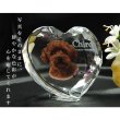 画像3: かわいいクリスタルペット位牌【ピュアラブ　ハート型　サイズA】【UV＋２Dレーザー】犬の位牌　猫の位牌　ペット供養 送料無料