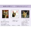 画像6: かわいいクリスタルペット位牌【ピュアラブ　キューブ型　サイズC】【UV＋２Dレーザー】犬の位牌　猫の位牌　ペット供養 送料無料