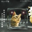 画像1: かわいいクリスタルペット位牌【ピュアラブ　キューブ型　サイズB】【UV＋２Dレーザー】犬の位牌　猫の位牌　ペット供養 送料無料