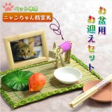 画像: お盆用品【ペット用お盆飾り8点セット：ニャンちゃん精霊馬】お盆・新盆・初盆・盆棚 送料無料