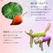 画像4: お盆用品【ペット用お盆飾り8点セット：ニャンちゃん精霊馬】お盆・新盆・初盆・盆棚 送料無料