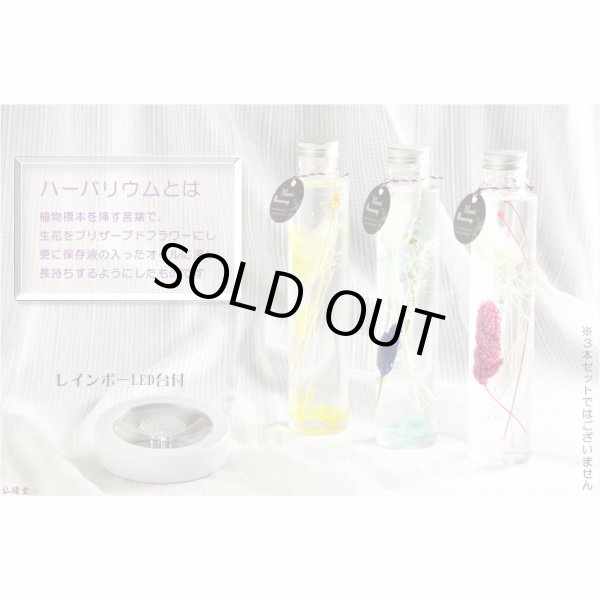 画像2: 仏具【レインボーLED台付・ハーバリウム仏花：フローラ　ブルー1本】花　プリザーブドフラワー　供物　お供え　仏壇用仏具　送料無料