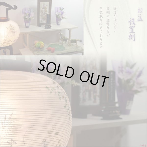 画像13: 特選　お盆提灯【岐阜提灯：大内行灯11号　桜調仕上げ・本絹製二重張り・手書き絵　秋草の薫（あきくさのかおり）】盆ちょうちん　行灯　盆用品　お盆飾り　新盆　初盆　色柄提灯　花柄提灯　迎え火　送り火