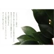 画像9: （7月下旬入荷予定）祖霊舎・神徒壇【モダン祖霊舎：ガラス格子扉　天然オーク杢・住吉（すみよし）50号ナチュラル+神具一式】LEDダウンライト付　神道　大型　御霊舎　霊璽　御霊代　神棚　送料無料