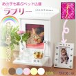 画像1: ペット仏壇【ペット仏具7点付き：新・ラブリー　サイズ小　ホワイト】おリン付 ミニ仏壇 家具調仏壇 メモリアルボックス 納骨 骨壷 ペット供養 足跡マーク 写真立て 名入れ無料 送料無料
