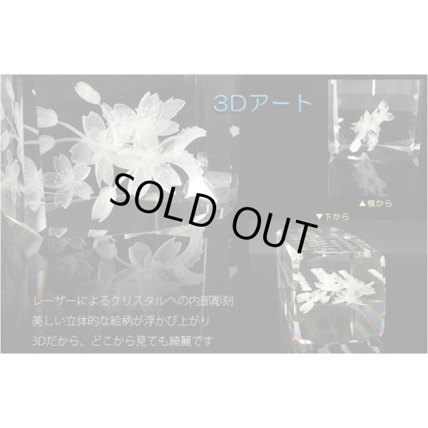 画像5: 位牌【世界に一つの特別：3Dクリスタル位牌　カリーナ　4.0寸】モダン位牌　オリジナル位牌　オーダーメイド　メモリアルモニュメント　仏壇　仏具　手元供養　送料無料