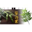 画像6: お盆用品【卓上ミニ盆棚＋お盆飾り付きセット　爽籟（そうらい）ホワイト】一部組立あり　送料無料　祭壇　法要　仏事　新盆　初盆　お盆飾り　盆提灯