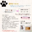 画像13: ペット仏壇【ペット仏具7点付き：新・ラブリー　サイズ小　ホワイト】おリン付 ミニ仏壇 家具調仏壇 メモリアルボックス 納骨 骨壷 ペット供養 足跡マーク 写真立て 名入れ無料 送料無料