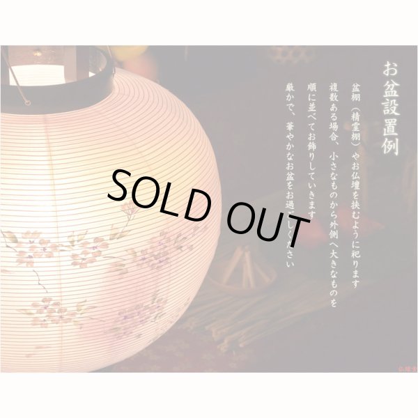 画像15: 特選　高級盆提灯【岐阜提灯：天然木・簡単組立　本絹二重張一対（2個）入り・桜並木11号】お盆用品 仏具 お盆 初盆 新盆 初盆飾り 新盆飾り　送料無料