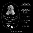 画像4: ペット位牌【世界に一つの特別：3Dクリスタル位牌（ウールー）無色透明】モダン　オリジナル位牌　ガラス　オーダーメイド