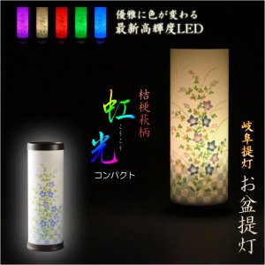 画像: お盆提灯【岐阜提灯・最新高輝度LED採用：テルミナ虹光（こうこう）桔梗萩・コンパクト】お盆用品　お盆飾り　霊前灯　提灯　モダン提灯　電池灯　仏壇用仏具　新盆　初盆　盆花　迎え火　送り火　インテリア行灯