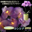 画像1: 仏花【胡蝶蘭と花器が光るLEDライト　シンシア：胡蝶蘭　パープル】新盆　初盆　お盆用品　盆提灯　盆花　仏壇用仏具　送料無料