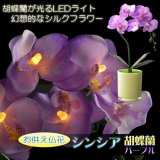 画像: 仏花【胡蝶蘭と花器が光るLEDライト　シンシア：胡蝶蘭　パープル】新盆　初盆　お盆用品　盆提灯　盆花　仏壇用仏具　送料無料