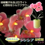 画像: 仏花【胡蝶蘭と花器が光るLEDライト　シンシア：胡蝶蘭　ピンク】新盆　初盆　お盆用品　盆提灯　盆花　仏壇用仏具　送料無料