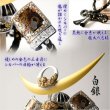 画像11: （予約注文開始 3月下旬出荷）節句飾り【端午の節句：国産五月人形　白銀（しろがね）上杉謙信兜・弓太刀飾り　木製丸型白ケース付】シルバー　かぶと飾り　兜飾り　節句人形　こいのぼり　五月飾り　菖蒲の節句　ケース飾り　こどもの日　送料無料