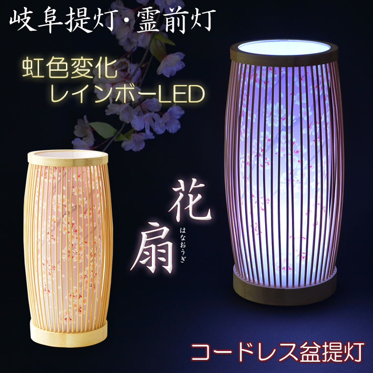 画像1: 盆提灯【岐阜提灯　レインボーLED・天然竹材：花扇（はなおうぎ）桜柄】お盆用品 仏具 お盆 初盆 提灯 新盆 お盆飾り 虹色LED　送料無料